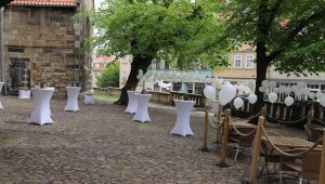 IMG_8219sml.jpg