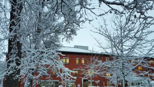 20190110_082214_co.jpg