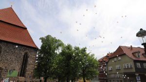 IMG_8238sml.jpg