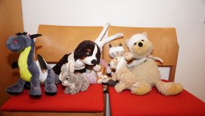 19.10.18 20 Jahre Kinderorthopaedie kranke Teddys sml.jpg